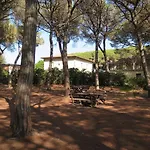 Palazzeta Iii-3 By Interhome Apartment *