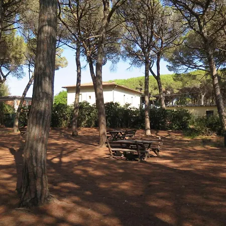 Palazzeta Iii-3 By Interhome Apartment *